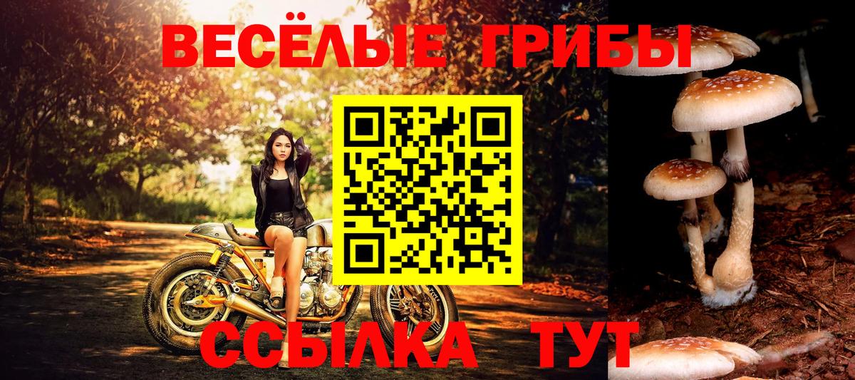 Галлюциногенные грибы Magic Shrooms  Вход с VPN  Псилоцибиновые грибы ЛСД  Людиново 