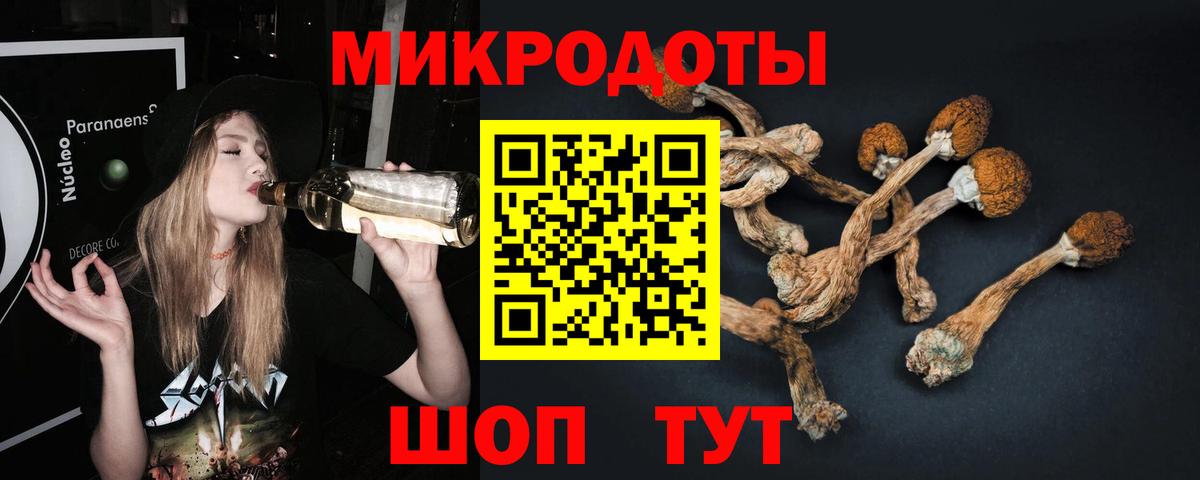 Псилоцибиновые грибы GOLDEN TEACHER Людиново